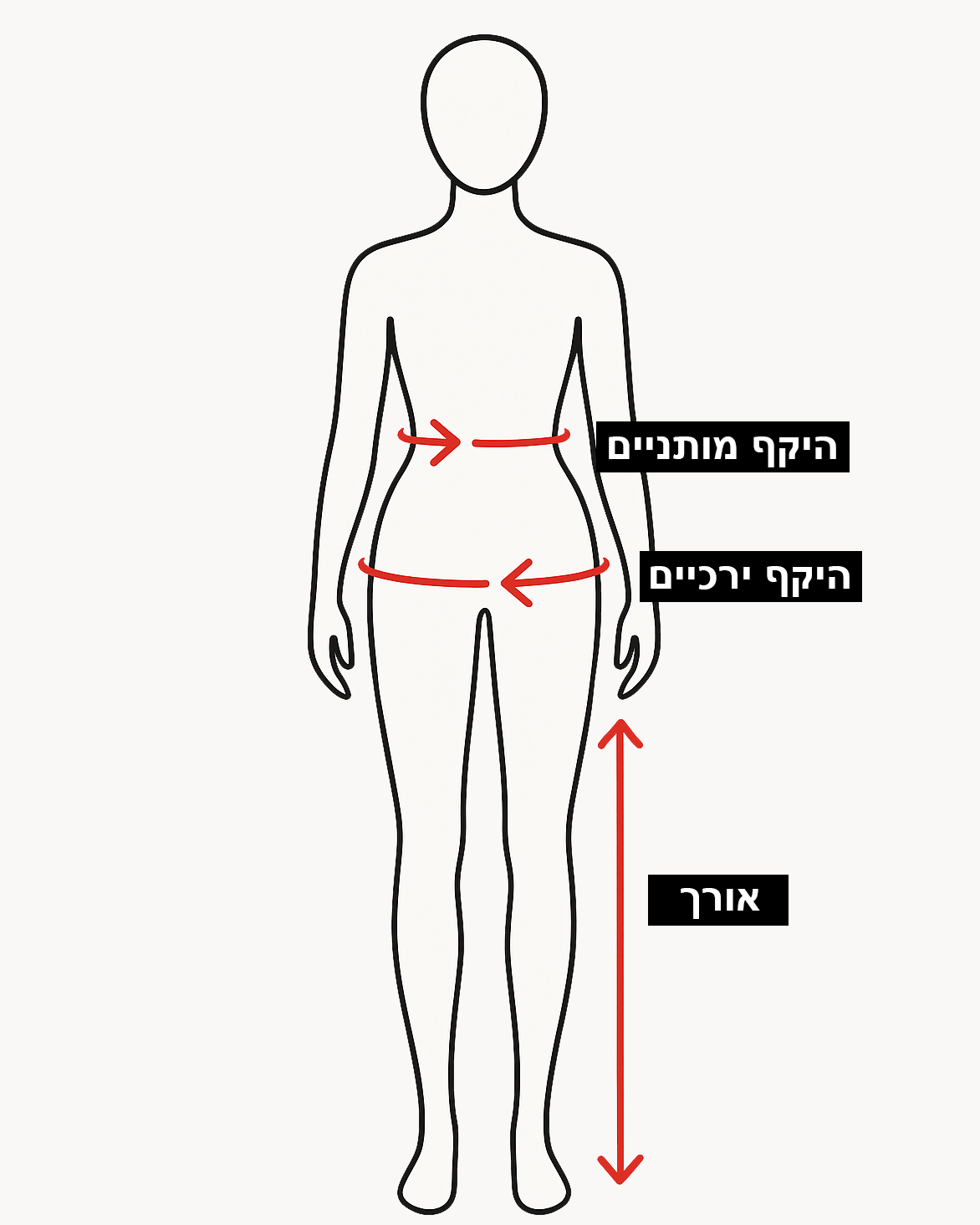 Size Chart Image